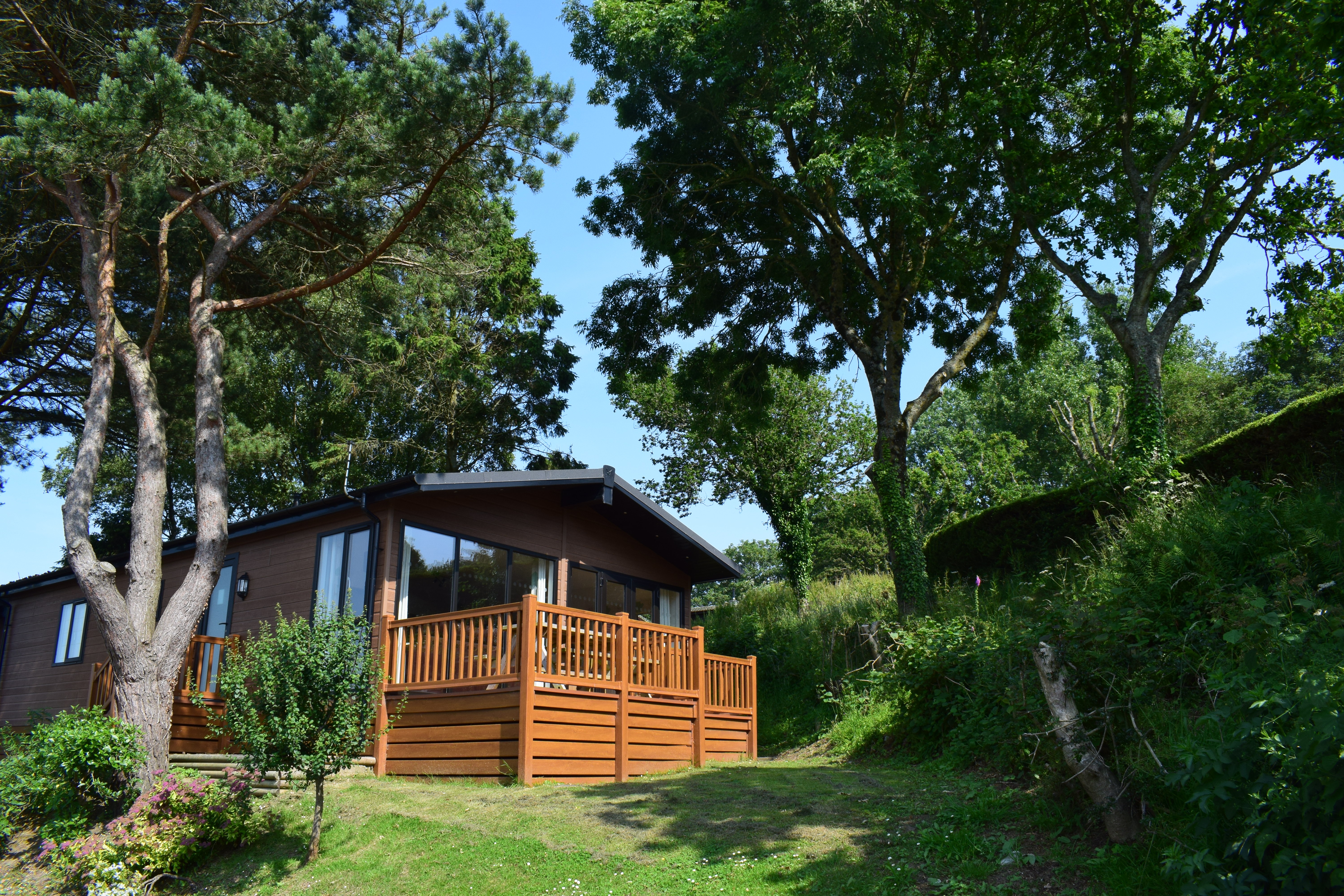 lodges and accommodation in charmouth